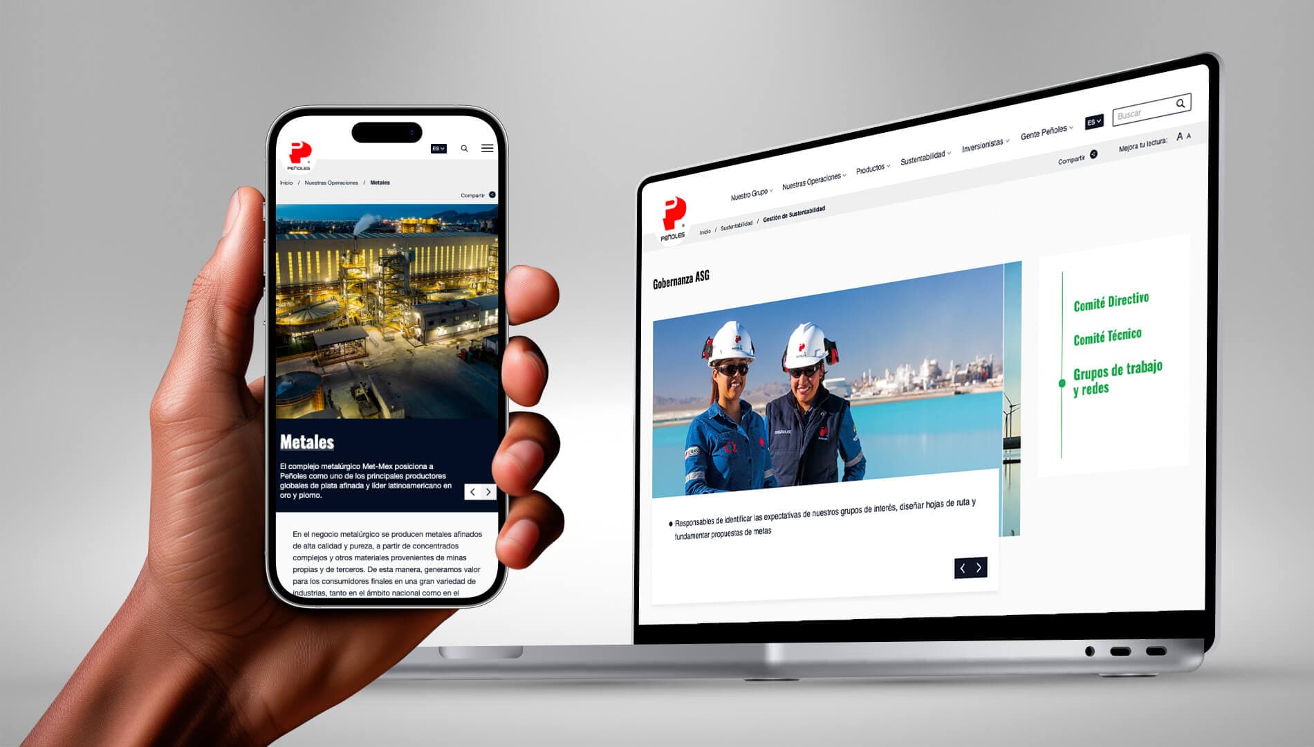 Peñoles - Secondary hero image